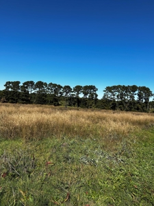 3+/- Acres For Sale with RV Cover Included near Quitman, AR - image 3