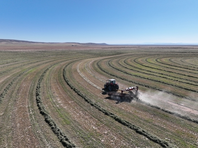 Eastern Oregon Leathers Farm - image 22