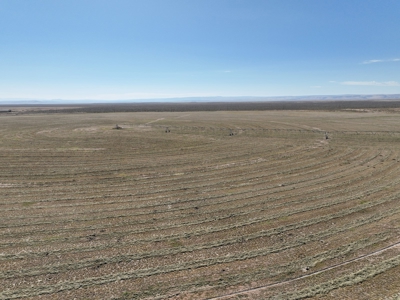 Eastern Oregon Leathers Farm - image 24