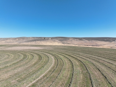 Eastern Oregon Leathers Farm - image 23