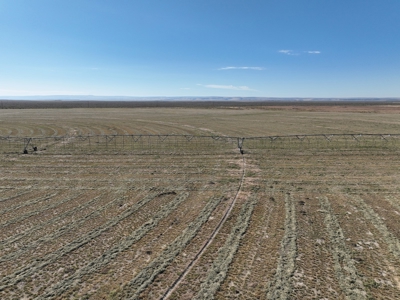 Eastern Oregon Leathers Farm - image 25