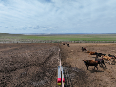 Eastern Oregon Leathers Farm - image 45