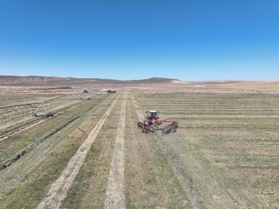 Eastern Oregon Leathers Farm - image 15