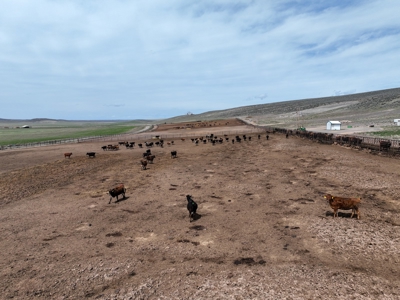 Eastern Oregon Leathers Farm - image 34