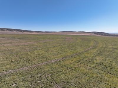 Eastern Oregon Leathers Farm - image 29