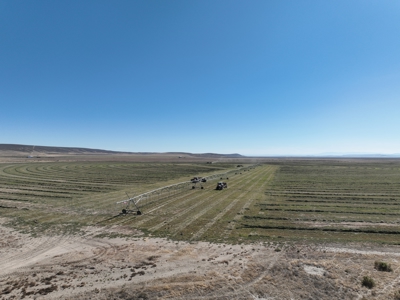 Eastern Oregon Leathers Farm - image 14
