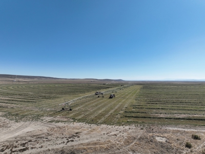 Eastern Oregon Leathers Farm - image 11