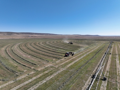 Eastern Oregon Leathers Farm - image 14