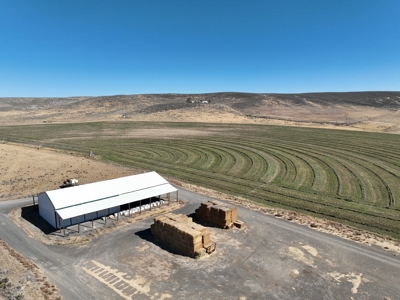 Eastern Oregon Leathers Farm - image 22