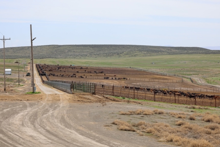 Eastern Oregon Leathers Farm - image 2