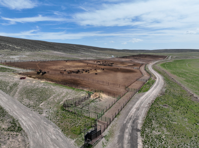 Eastern Oregon Leathers Farm - image 42