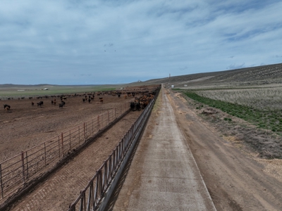 Eastern Oregon Leathers Farm - image 37