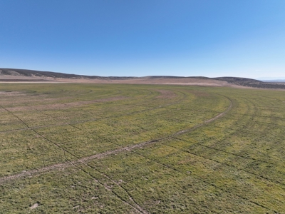 Eastern Oregon Leathers Farm - image 21