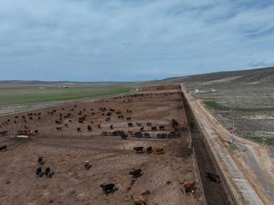 Eastern Oregon Leathers Farm - image 38