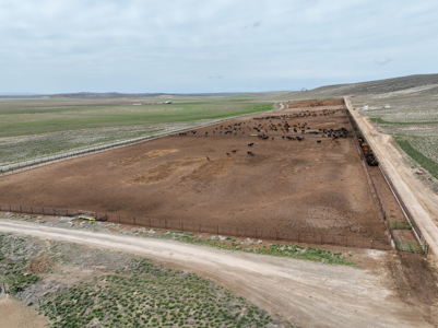 Eastern Oregon Leathers Farm - image 47