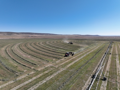 Eastern Oregon Leathers Farm - image 19