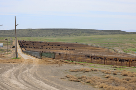 Eastern Oregon Leathers Farm - image 2