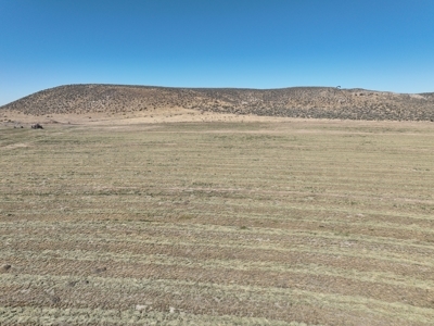Eastern Oregon Leathers Farm - image 32