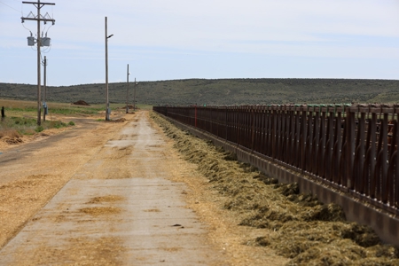 Eastern Oregon Leathers Farm - image 8