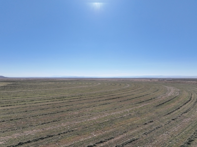 Eastern Oregon Leathers Farm - image 18