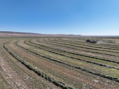 Eastern Oregon Leathers Farm - image 21