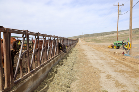 Eastern Oregon Leathers Farm - image 9