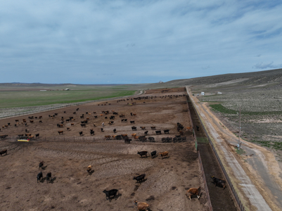 Eastern Oregon Leathers Farm - image 49