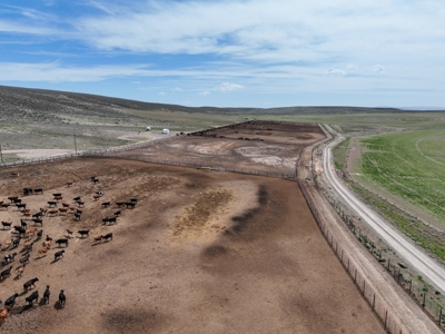 Eastern Oregon Leathers Farm - image 32