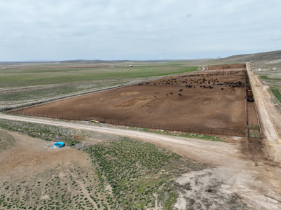 Eastern Oregon Leathers Farm - image 48