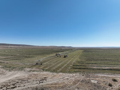 Eastern Oregon Leathers Farm - image 15