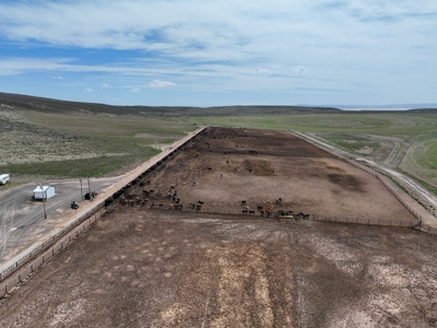 Eastern Oregon Leathers Farm - image 33