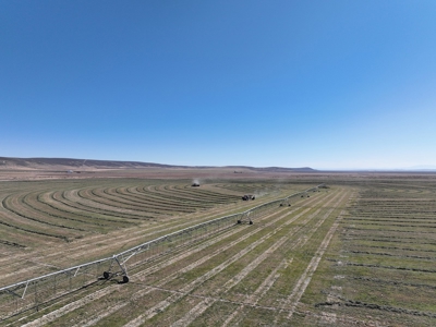 Eastern Oregon Leathers Farm - image 13