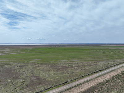 Eastern Oregon Leathers Farm - image 33