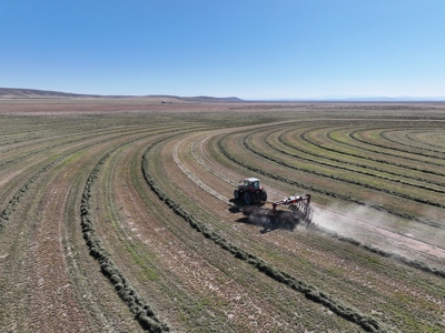 Eastern Oregon Leathers Farm - image 16