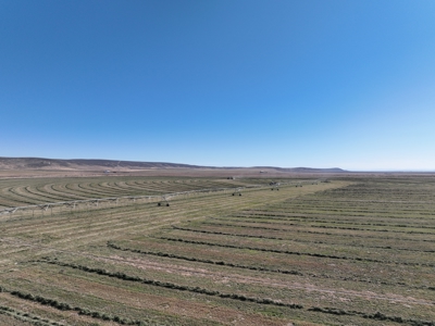 Eastern Oregon Leathers Farm - image 17