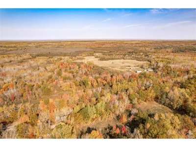 100  Acres of Recreational Land for Sale North of Bruno MN - image 6