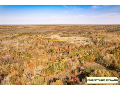 100  Acres of Recreational Land for Sale North of Bruno MN - image 1