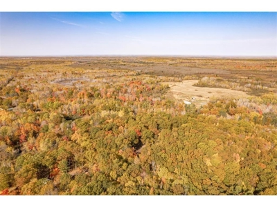 100  Acres of Recreational Land for Sale North of Bruno MN - image 5
