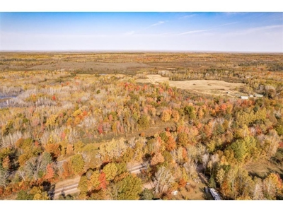 100  Acres of Recreational Land for Sale North of Bruno MN - image 7