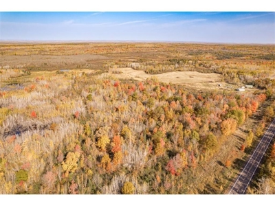 100  Acres of Recreational Land for Sale North of Bruno MN - image 4