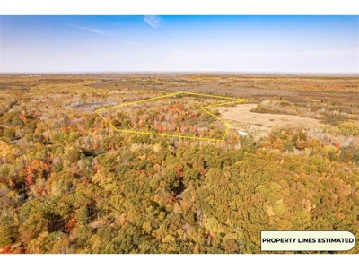 100  Acres of Recreational Land for Sale North of Bruno MN - image 2