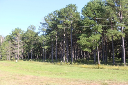 Riverfront Property with Pasture Land Simpson County MS - image 18
