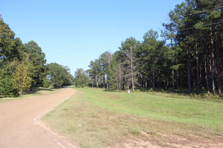 Riverfront Property with Pasture Land Simpson County MS - image 17