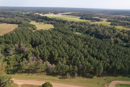 Riverfront Property with Pasture Land Simpson County MS - image 22
