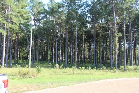 Riverfront Property with Pasture Land Simpson County MS - image 1
