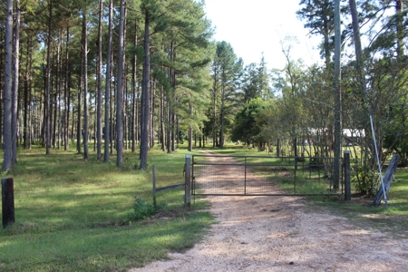 Riverfront Property with Pasture Land Simpson County MS - image 3