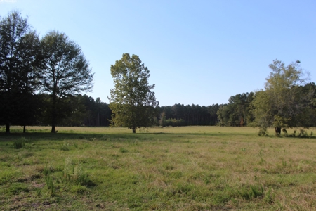 Riverfront Property with Pasture Land Simpson County MS - image 14
