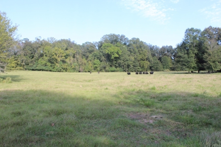 Riverfront Property with Pasture Land Simpson County MS - image 12
