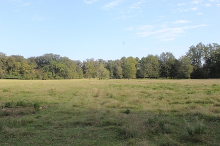 Riverfront Property with Pasture Land Simpson County MS - image 10