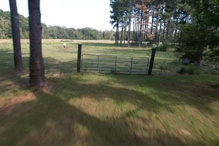 Riverfront Property with Pasture Land Simpson County MS - image 26